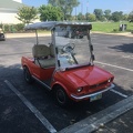 Mustang Golf Cart